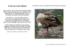 O weh uns armen Gänsen-Fallersleben.pdf